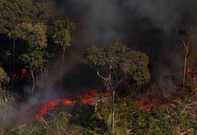 Recorde De Desmatamento Rond Nia Foi O Estado Que Mais Desmatou Em