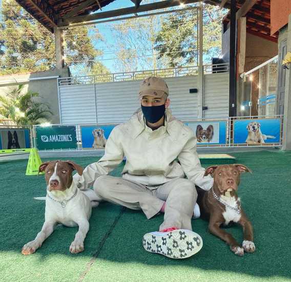 João Guilherme e cachorros