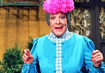 Dona Clotilde (Bruxa do 71)