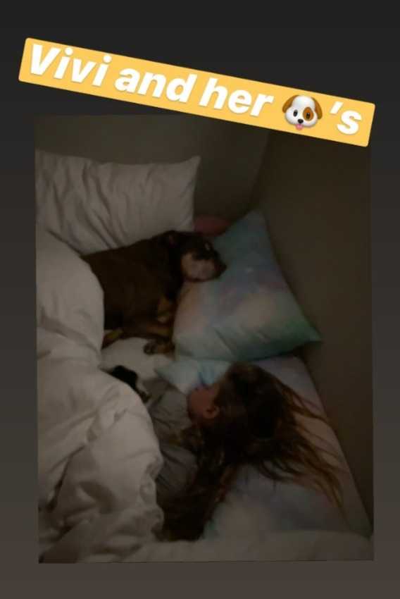 Filha de Gisele Bündchen e Tom Brady dorm ao lado de cachorros (Reprodução/Instagram)