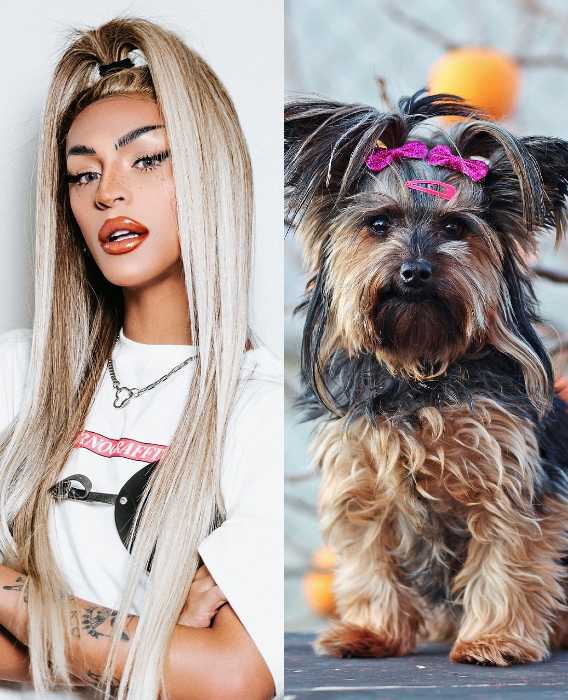 Pabllo Vittar e yorkshire