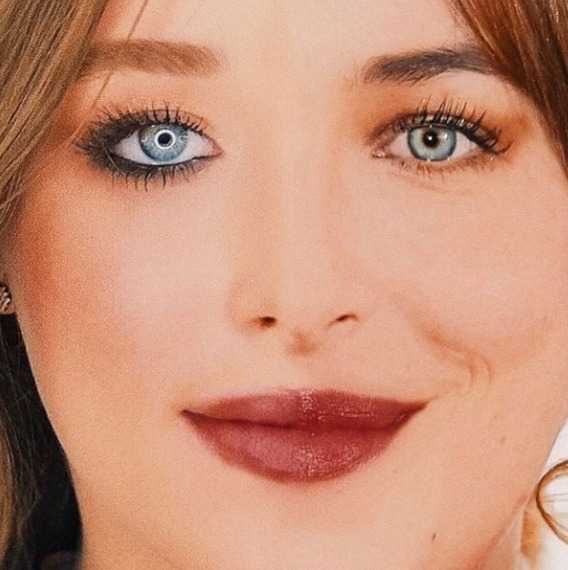 Duda Reis compartilhou montagem na qual o rosto dela aparece misturado ao de Dakota Johnson (Reprodução/Instagram)