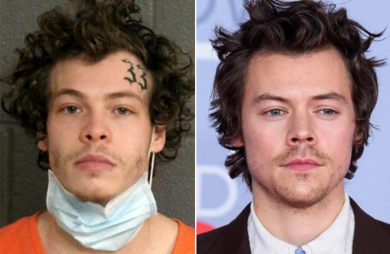 jason sanderline e harry styles