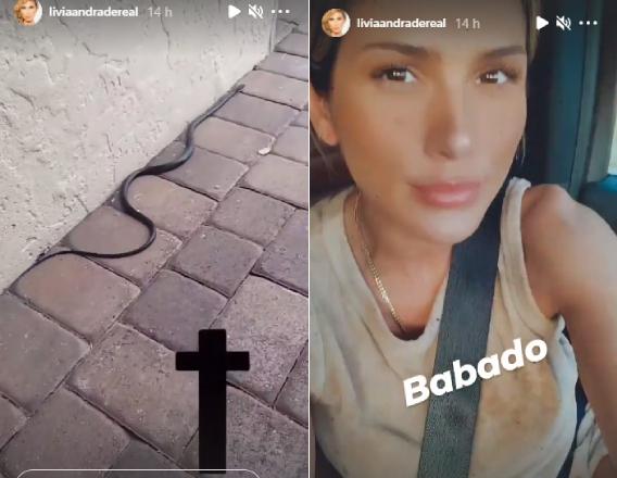 lívia andrade encontra cobra em casa