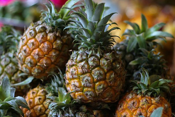 Conheça os 10 melhores alimentos para a sua saúde!
