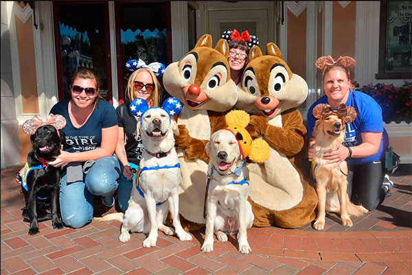 cães de serviço na disney