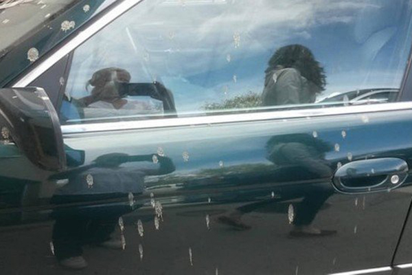 foto do carro com cocô