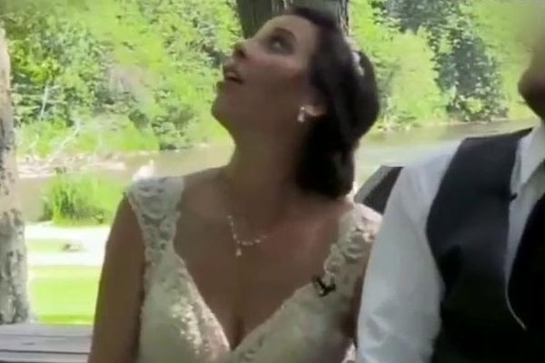 Árvore cai durante festa de casamento e os noivos levaram AQUELE susto!