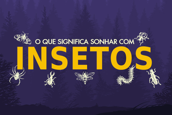 arte o que significa sonhar com insetos