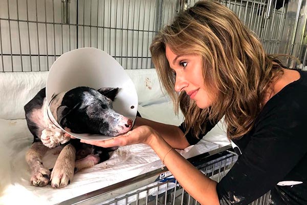 Luisa Mell é ameaçada de morte após resgate histórico