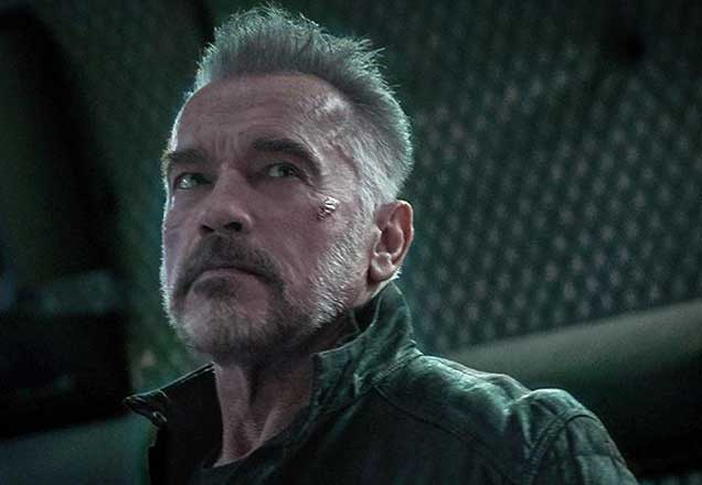 Arnold Schwarzenegger leva voadora durante evento na África do Sul