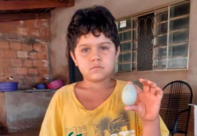 Menino doa único ovo de casa para ajudar abrigo e leilão rende mais de R$ 3 mil