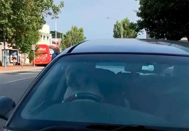 Cachorro sentado no banco do motorista dentro de um carro
