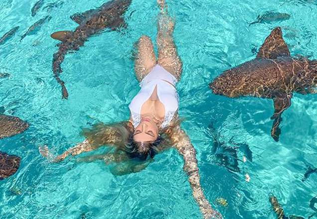 Chocante! Blogueira é atacada por tubarão e mostra foto da mordida