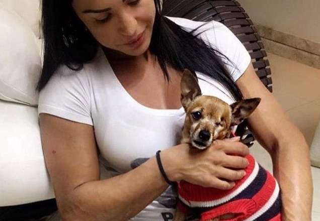 Gracyanne Barbosa lamenta morte de cachorrinho em post emocionante