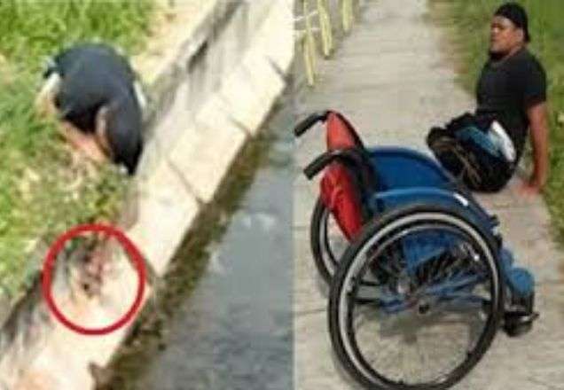 Cadeirante arrisca a vida para salvar gatinho em apuros