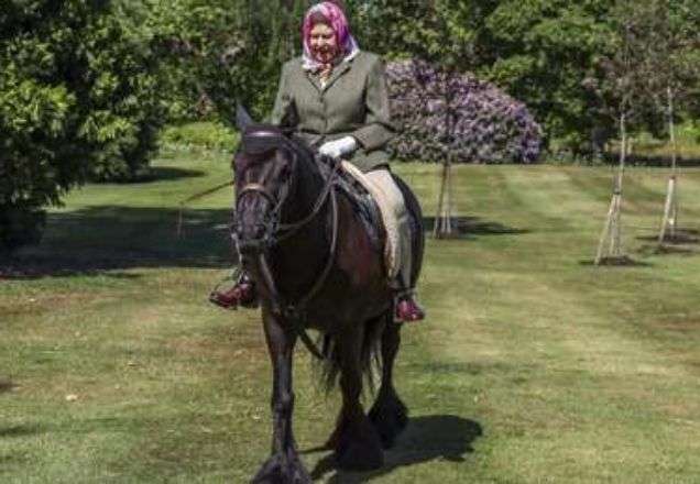 Rainha Elizabeth II é pega "no flagra" aos 94 anos