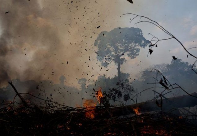 O ar é insuportável”: Os impactos das queimadas associadas ao desmatamento  da Amazônia brasileira na saúde