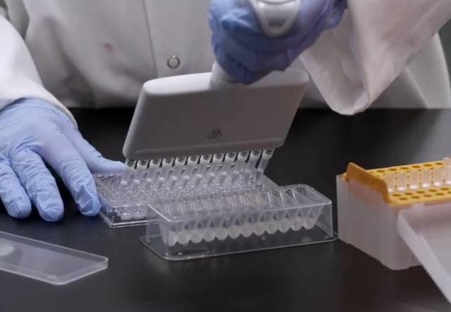 testes vacina covid - divulgação pfizer