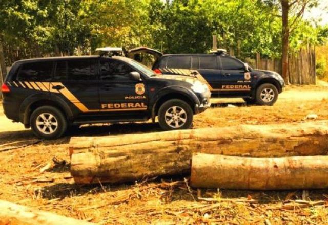 Em 2020, operação da Polícia Federal apreendeu mais de 131 mil m³ de madeira em tora