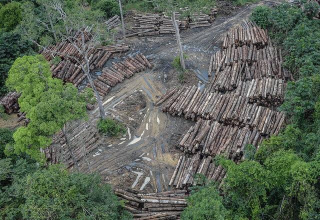 Amazônia: Desmatamento tem segunda maior cifra da série, diz Inpe