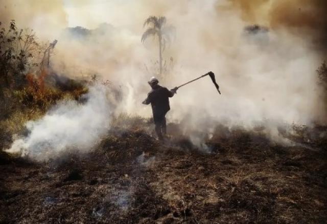 Incêndio atinge parque do Juquery, em Franco da Rocha - Brasil - SBT News