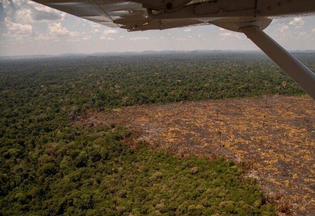 Amazônia: Desmatamento tem segunda maior cifra da série, diz Inpe