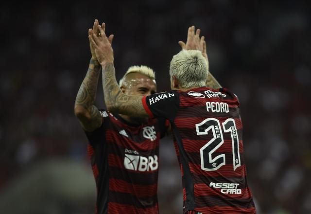 Pedro e Vidal comemoram