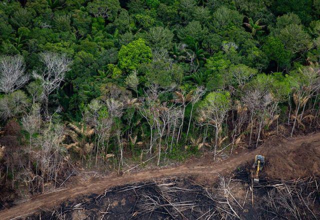 Amazônia: Desmatamento tem segunda maior cifra da série, diz Inpe