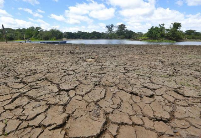 El Niño: veja vídeo sobre como fenômeno altera clima no Brasil 