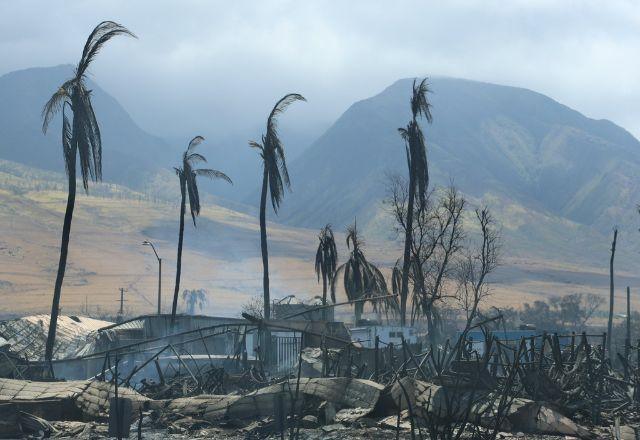 Incêndio no Havaí é o mais mortal dos EUA do século - SBT News