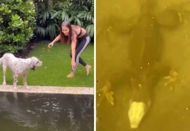 Montagem com fotos de Anitta e seu cachorro e ao lado a foto de uma iguana no fundo de sua piscina