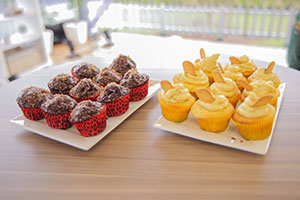 Receitas dos Cupcakes do Ayrton