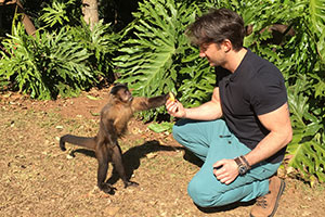 Macacos, búfalos e aviões de guerra no Turismo e Aventura deste domingo