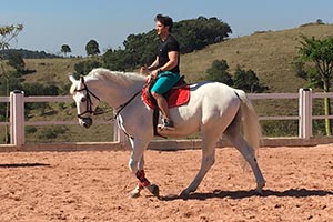 Um haras fascinante para treinos e terapias com cavalos no Turismo e Aventura
