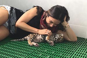 Patricia Abravanel fica no meio dos tigres e registra os momentos
