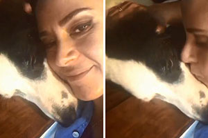 Silvia Abravanel faz homenagem a seu cachorro e emociona fãs