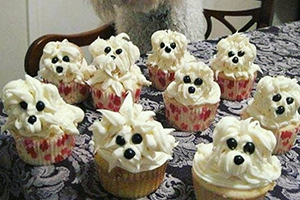 Tiago Barnabé, a Narcisa da Eliana, faz festa de aniversário para seu cachorrinho