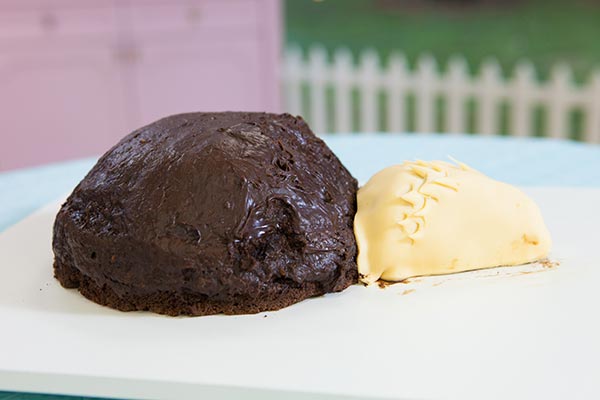Bolo Animal: bolo de porco espinho da Sileide