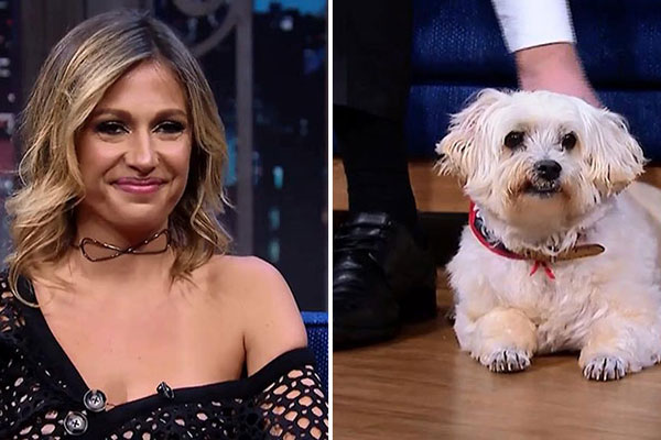 Luisa Mell conta como libertou 135 cães mal tratados de canil 
