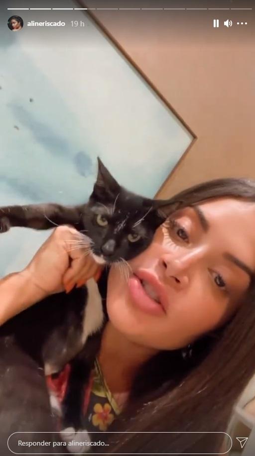 Aline Riscado e uma de seus 16 gatos.