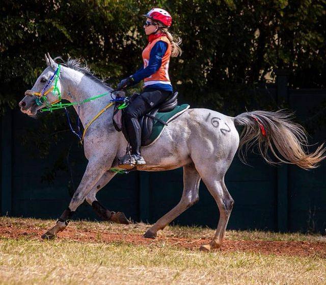 Christina Rocha surge poderosa cavalgando