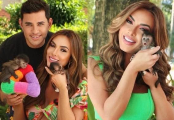 Nicole Bahls e Marcelo Viana posam com bebês macacos