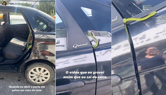 Sthe Matos mostra cobra em carro nos stories do Instagram