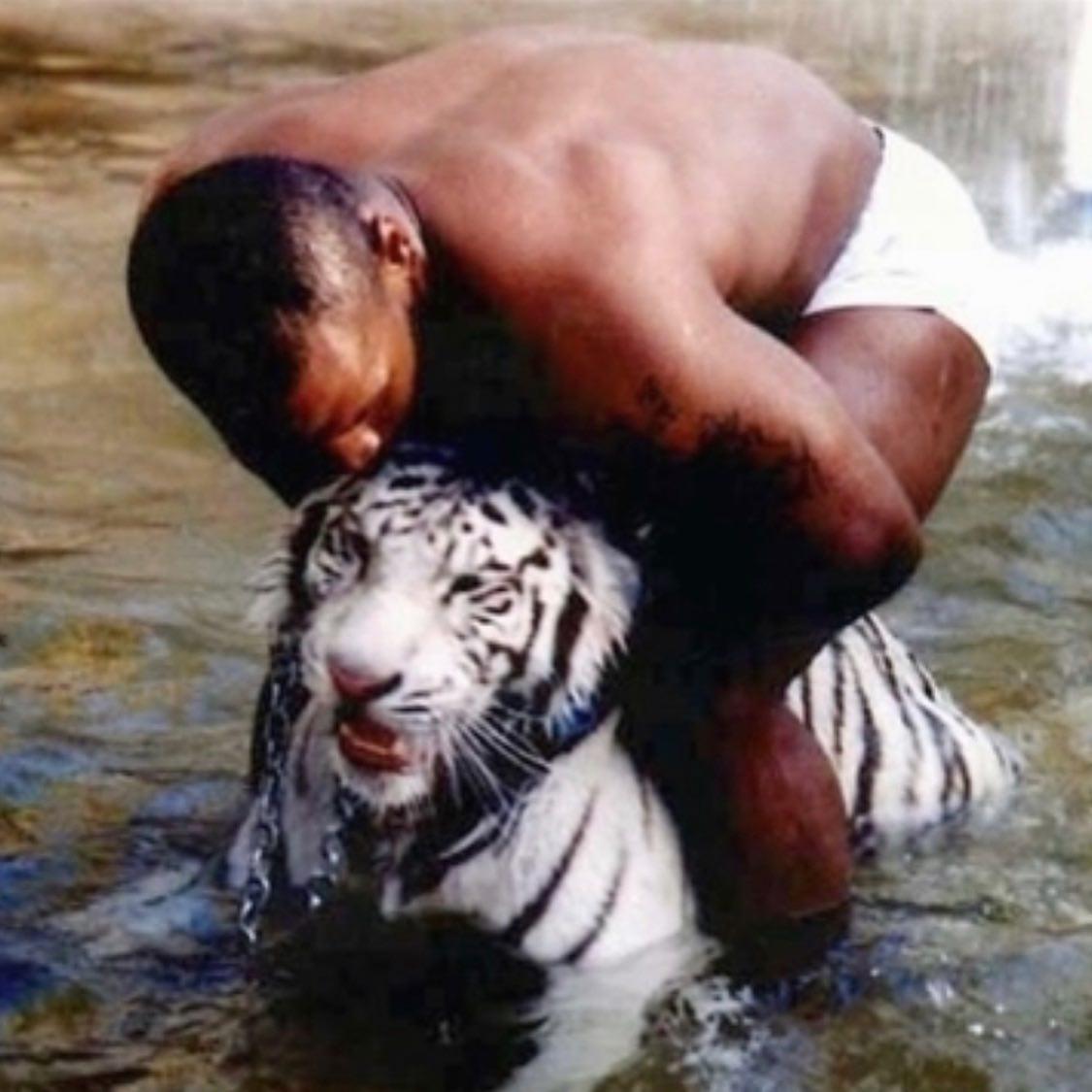 Mike Tyson e seu tigre-de-bengala branco