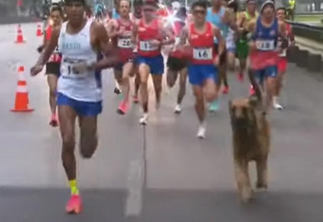 Cachorro correndo ao lado de corredores na maratona