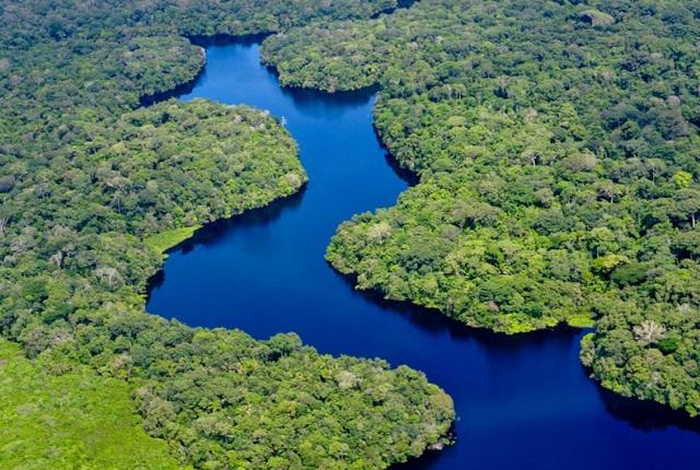 Floresta e rios vistos de cima (Divulgação/Ascom MMA)