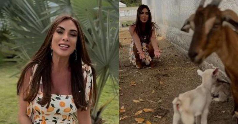 Nicole Bahs mostra os novos integrantes da família: um casal de cabritos