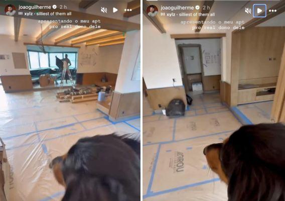 Cachorro do João Guilherme no seu novo apartamento