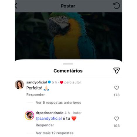 sandy prestou apoio ao namorado, pedro andrade
